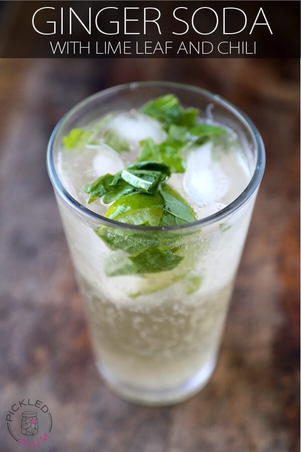 Ginger Soda with Lime Leaf and Chili Pickled Plum Food And Drinks